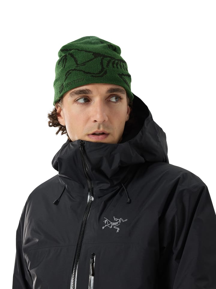 Arc'teryx Bird Head Toque Eden/Black | Fjellsport.no